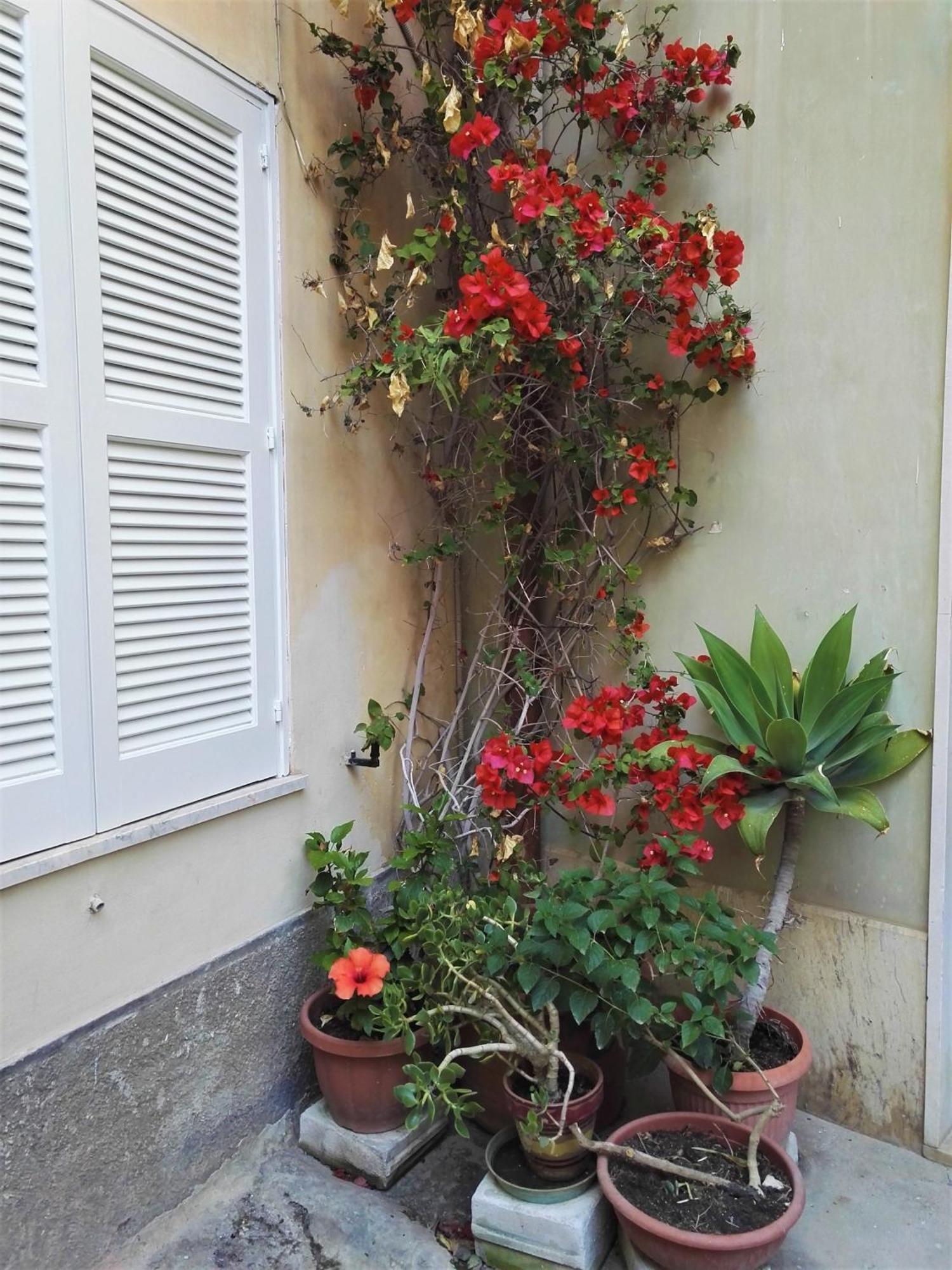 Aloha House Ortigia