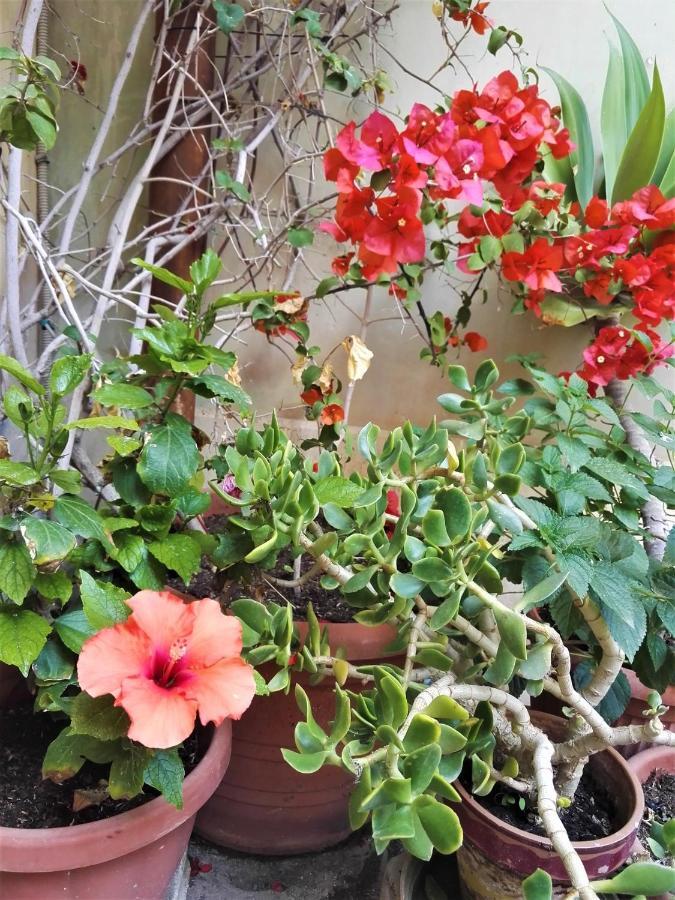 Holiday home Aloha House Ortigia